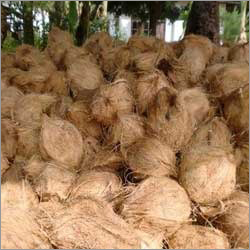 Husked Coconuts
