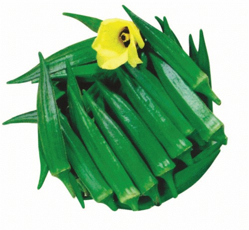 Bhindi Seeds