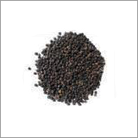Black Pepper