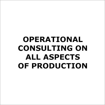 Operational Consulting On All Aspects Of Production