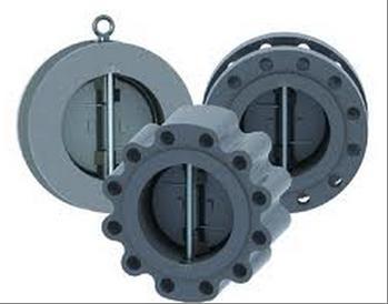 Dual Plate Check Valves