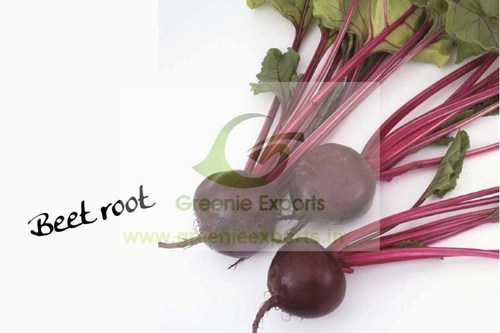 Beet Root