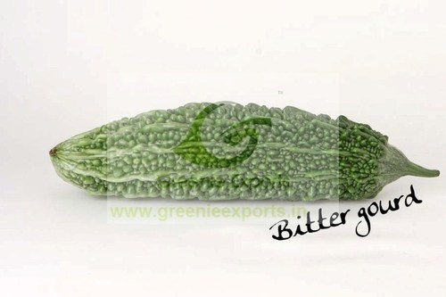 Bitter Gourd