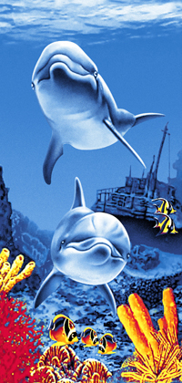 Character beach towels