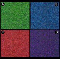Two Tone Embossed Handmade Paper