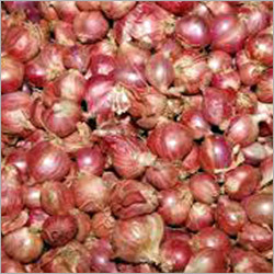 Onion