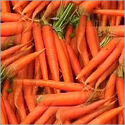 Carrot