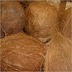 Coconut