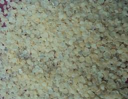 Guar Gum Seeds
