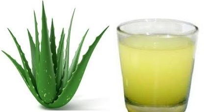 Aloe Vera Fibrous Juice