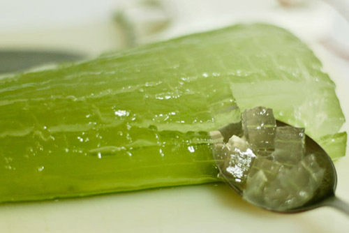 Aloe Vera Extract