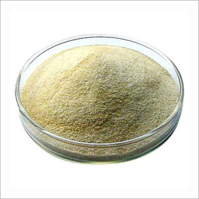 Sodium Alginate Powder