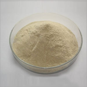 Sodium Alginate Food Grade