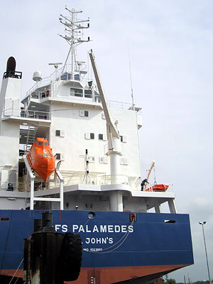 Davit & Crane