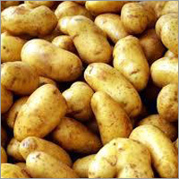 Potato