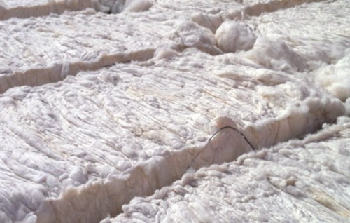 Bleached Cotton Comber Noil Bleached Cotton Comber Noil