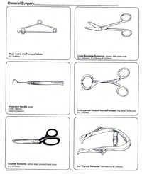 General Surgical Instruments - Stainless Steel, 4 1/2" Mayo Forceps Holder, 5-3/4" Aneurysm Needle, 8 1/4" Counter Scissors, Ergonomic Design