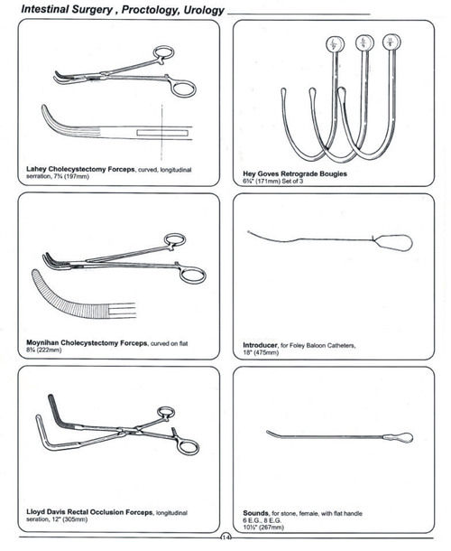 INTESTINAL SURGERY, PROCTOLOGY, UROLOGY