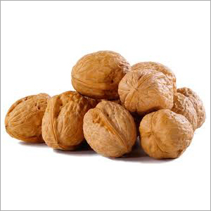 Large Size Walnut