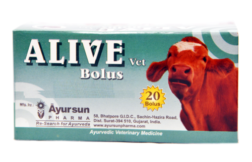 Ayurvedic Herbal medicine for liver tonic - Alive Bolus