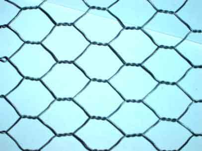 Hexagonal Wire Mesh