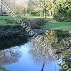 Pond Films