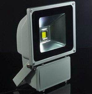 LED Flood Light