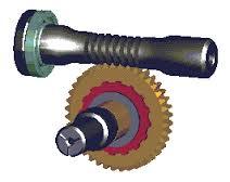 Worm Gear