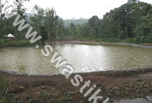 Low Density Polyethylene Sheet