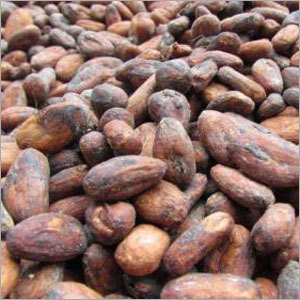 Cocoa