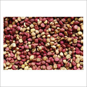 Natida Kola Nuts