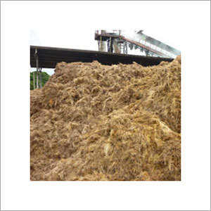 Palm Kernel Expeller