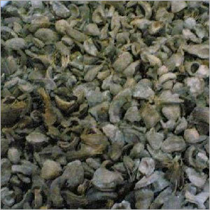 Palm Kernel Shells