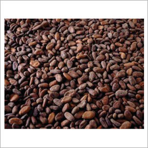 Organic Cocoa Beans