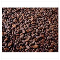 Organic Cocoa Beans