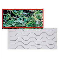 Horticulture Zig Zag Spring