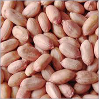 Pink Ground Nut