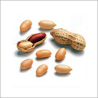 Indian Groundnuts