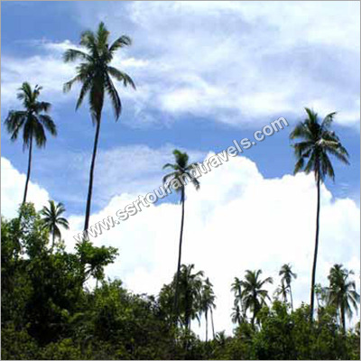 Andaman Beauty Tour Package Services