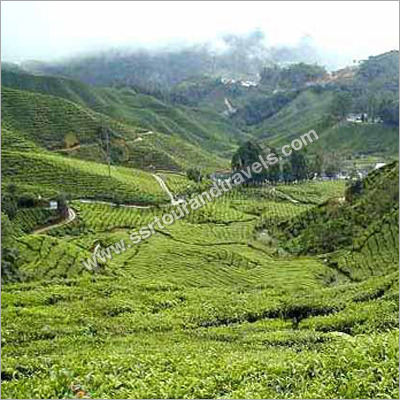 East India Tour Packages