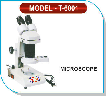 Stereo Microscope