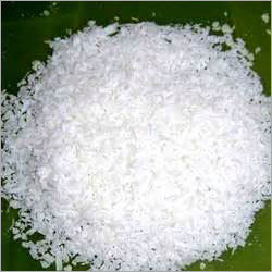 Organic Coconut Milk Powder