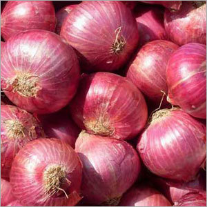 Fresh Red Onions