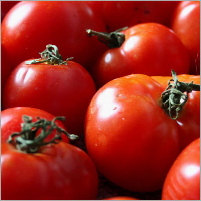 Red Tomatoes