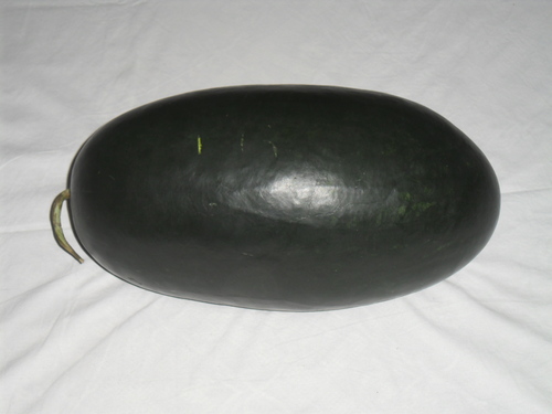 KARINA KING-2 watermelon Seeds