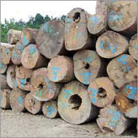 Kapur Wood Logs