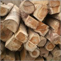 Teak Wood