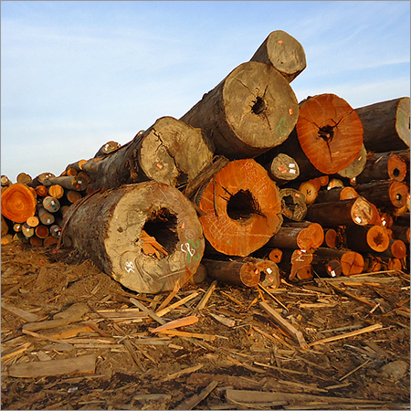 Meranti Logs