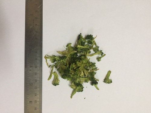Freeze Dried Broccoli Pieces