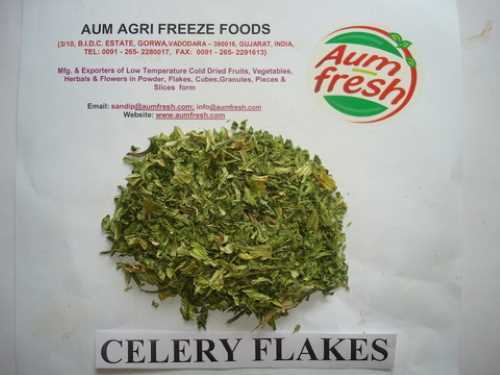 FD Celery Flakes